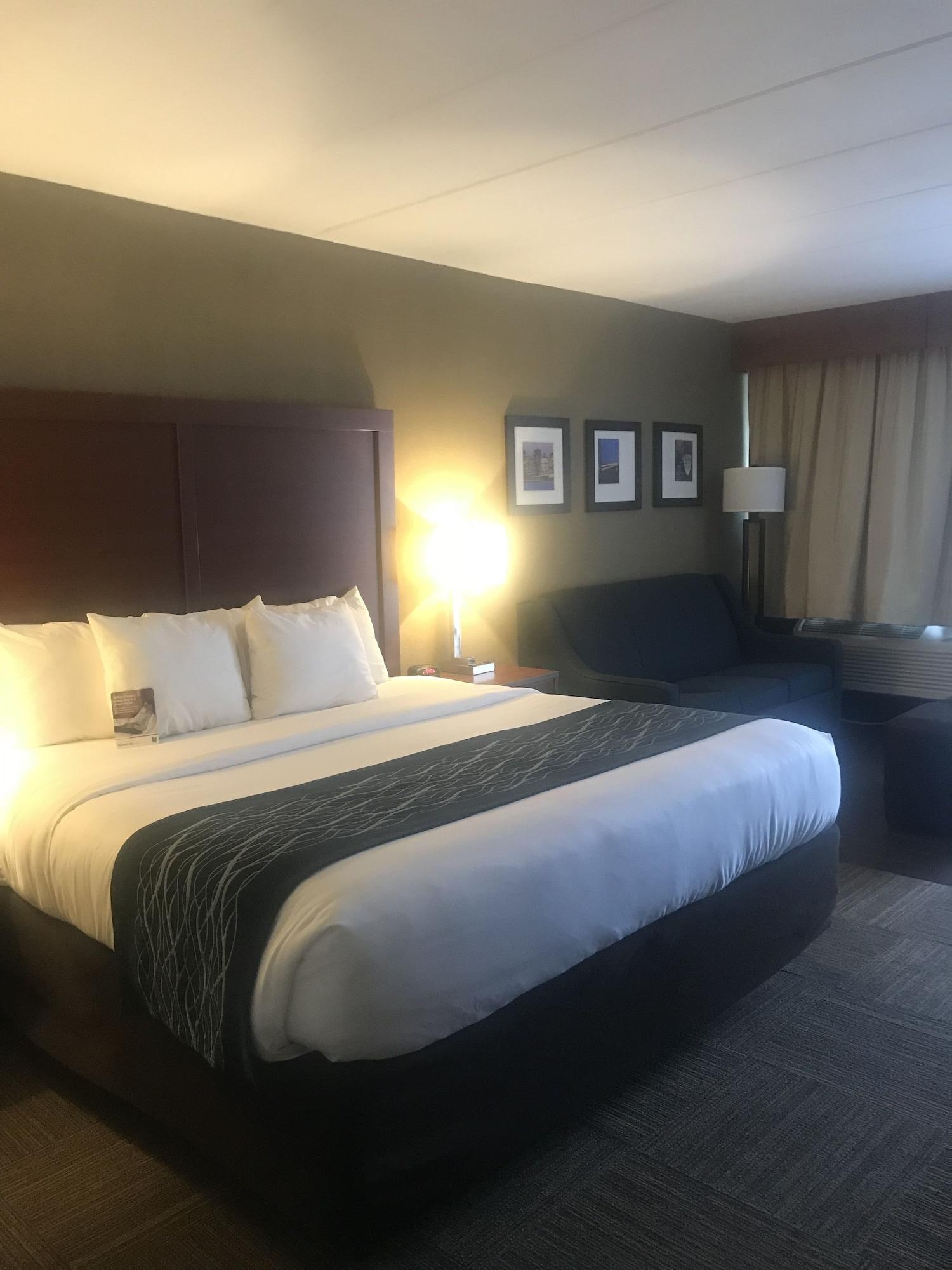 Comfort On Hudson River